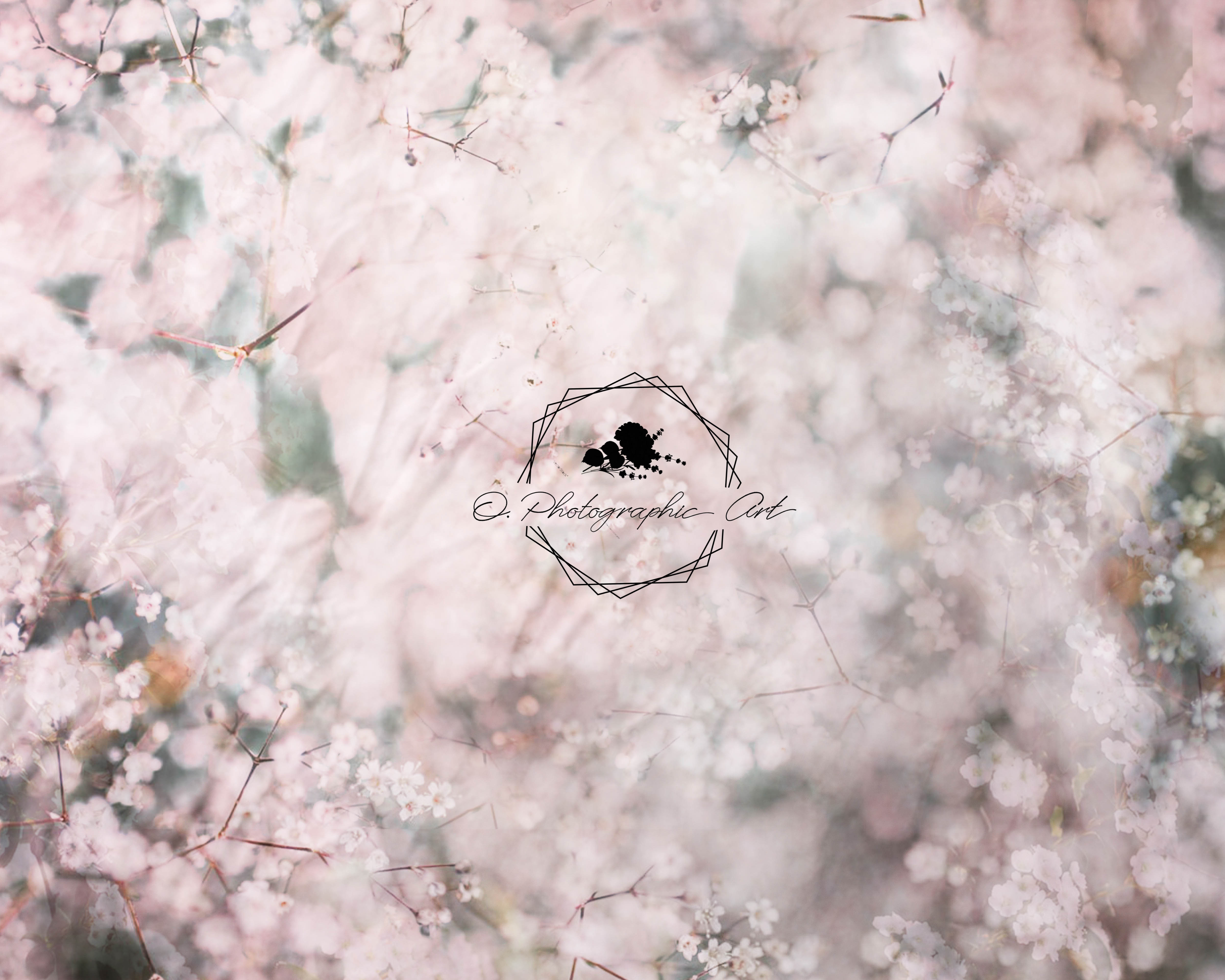 Kate Babys Breath Backdrop Boken Flower for Photography Designed by Jenna Onyia - Kate Backdrop AU