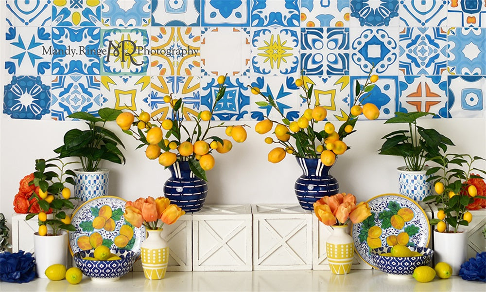 Kate Mediterranean Summer Backdrop Designed by Mandy Ringe Photography