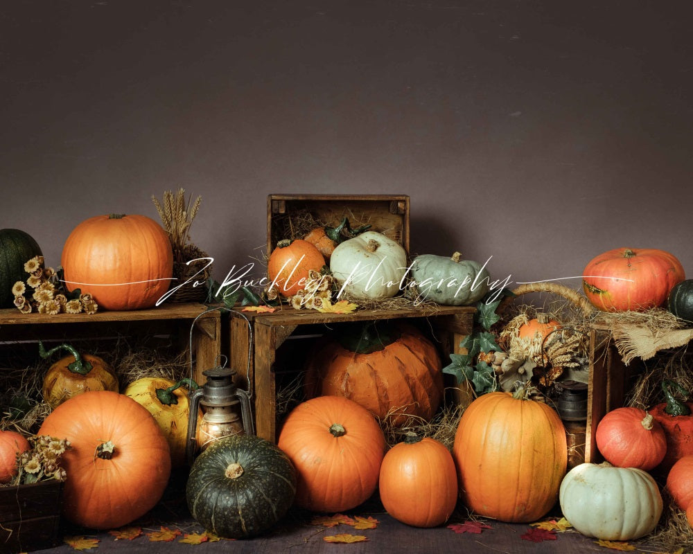 Kate Pumpkin Patch Backdrop Autumn Designed by Jo Buckley Photography