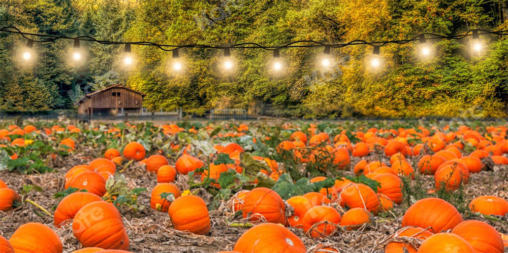 Kate Autumn Pumpkin Harvest Backdrop Designed by Chain Photography