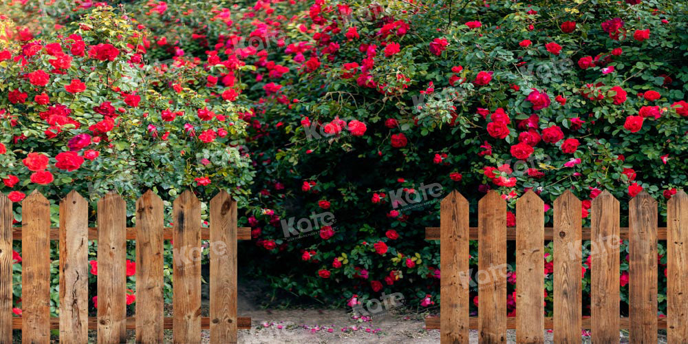 Kate Valentine's Day Backdrop Rose Garden Designed by Chain Photography