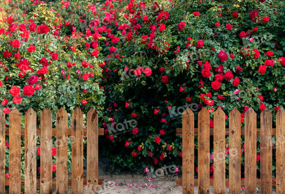 Kate Valentine's Day Backdrop Rose Garden Designed by Chain Photography