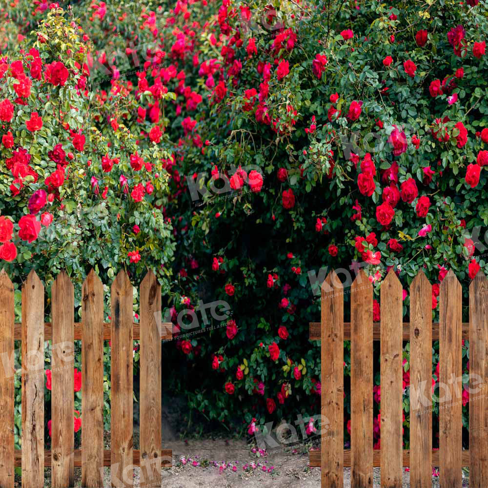 Kate Valentine's Day Backdrop Rose Garden Designed by Chain Photography