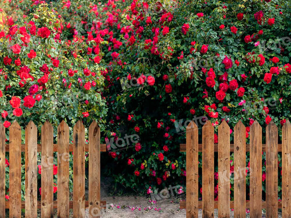 Kate Valentine's Day Backdrop Rose Garden Designed by Chain Photography