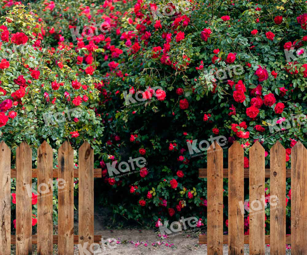 Kate Valentine's Day Backdrop Rose Garden Designed by Chain Photography