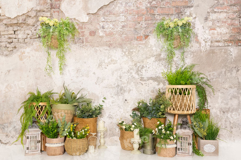 Kate Spring Backdrop Green Plants Brick Wall for Photography