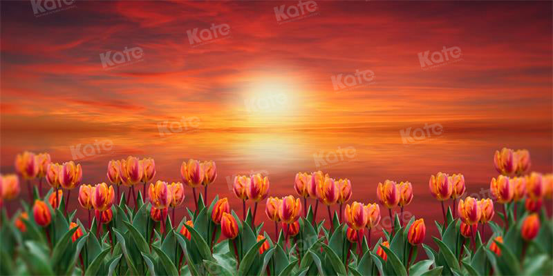 Kate Sunset Tulip Backdrop for Photography