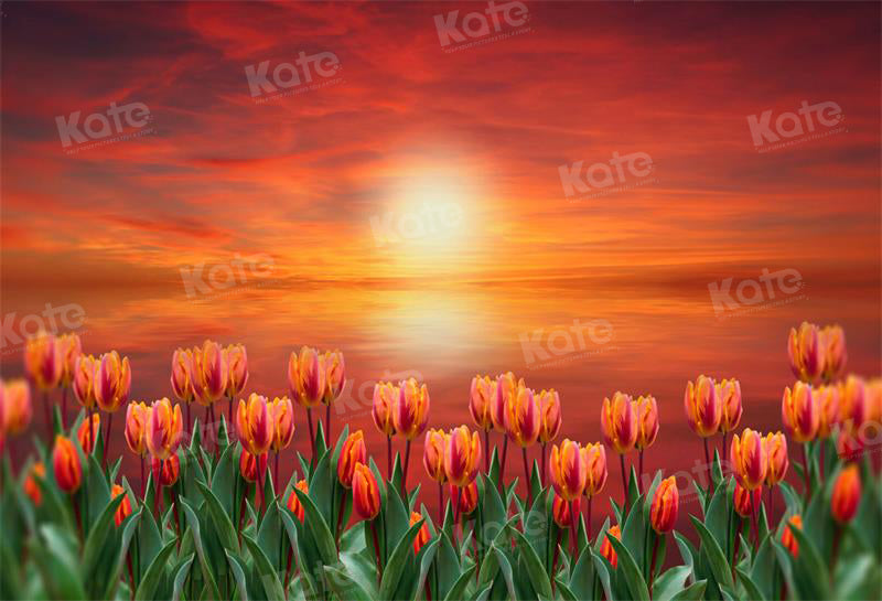 Kate Sunset Tulip Backdrop for Photography