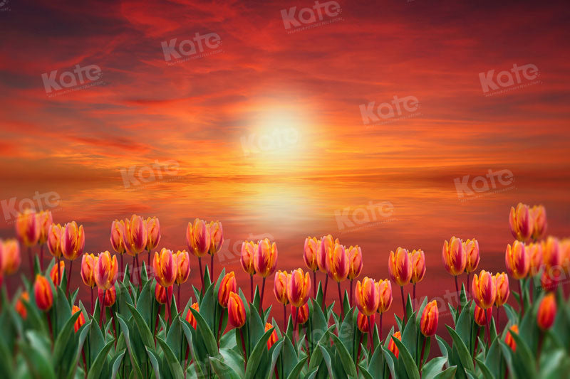 Kate Sunset Tulip Backdrop for Photography