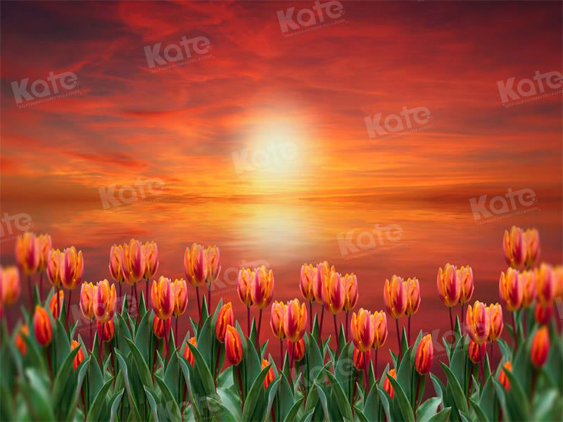 Kate Sunset Tulip Backdrop for Photography