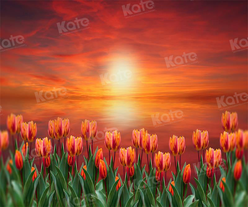 Kate Sunset Tulip Backdrop for Photography