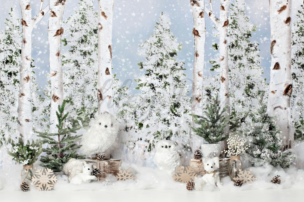 Kate Pastel Winter Wonderland Backdrop Designed by Ashley Paul