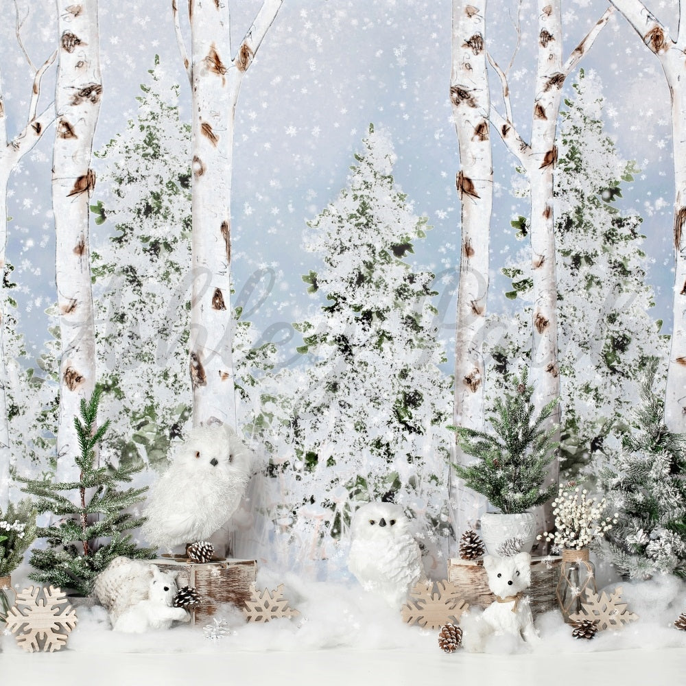 Kate Pastel Winter Wonderland Backdrop Designed by Ashley Paul