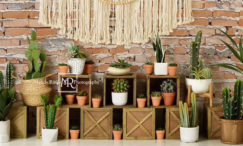 Kate Boho Southwest Cactus Wall Backdrop Designed by Mandy Ringe Photography