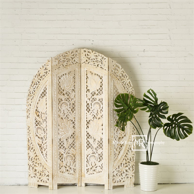 Kate Simple Boho Backdrop Screen and Plant Designed by Mandy Ringe Photography