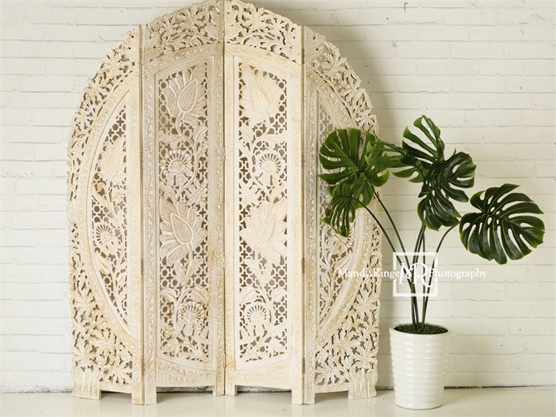 Kate Simple Boho Backdrop Screen and Plant Designed by Mandy Ringe Photography