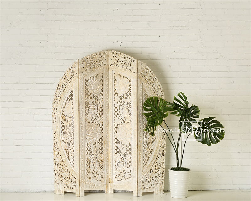 Kate Simple Boho Backdrop Screen and Plant Designed by Mandy Ringe Photography