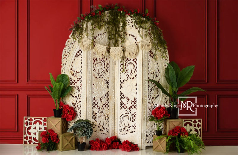 Kate Valentine's Screen with Red Wall Backdrop Designed by Mandy Ringe Photography