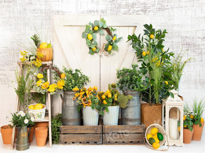 Kate Spring/Summer Lemon Barn Backdrop for Photography