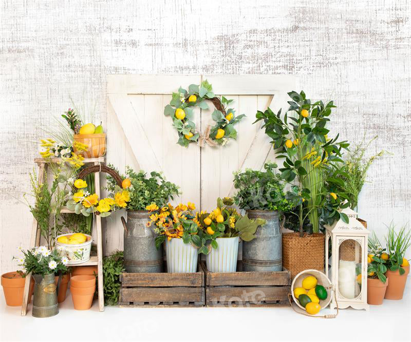 Kate Spring/Summer Lemon Barn Backdrop for Photography