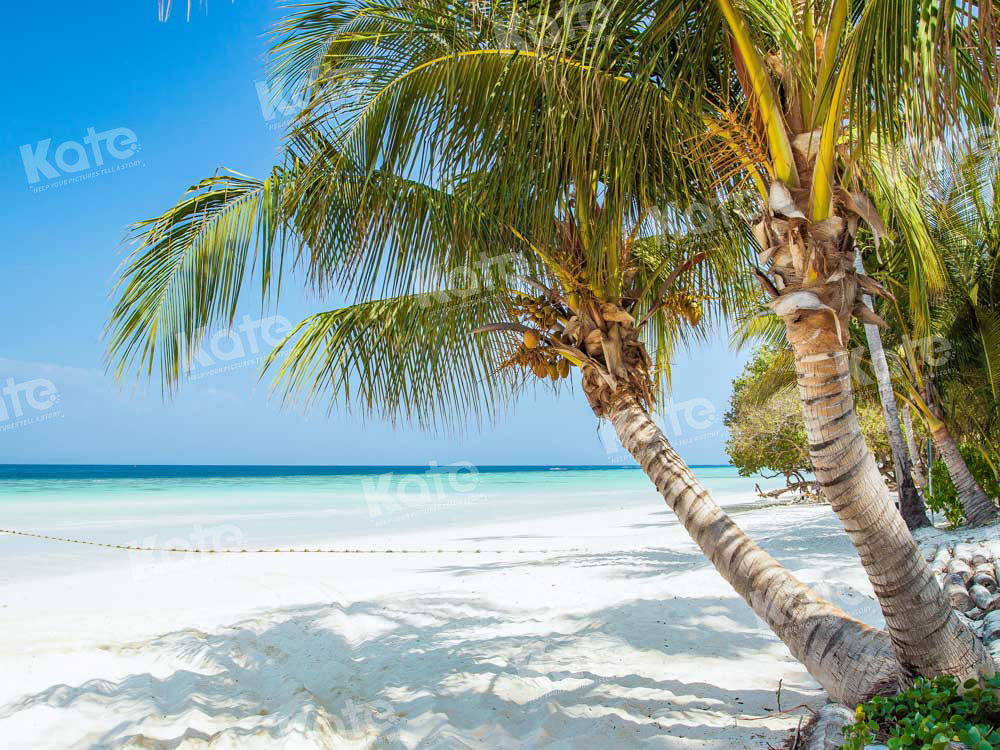 Kate Summer Beach Backdrop Blue Sky Designed by Chain Photography