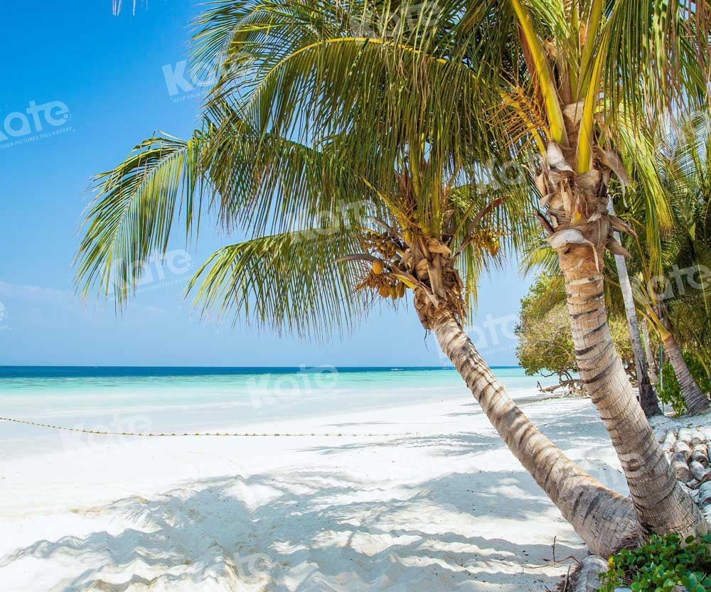 Kate Summer Beach Backdrop Blue Sky Designed by Chain Photography