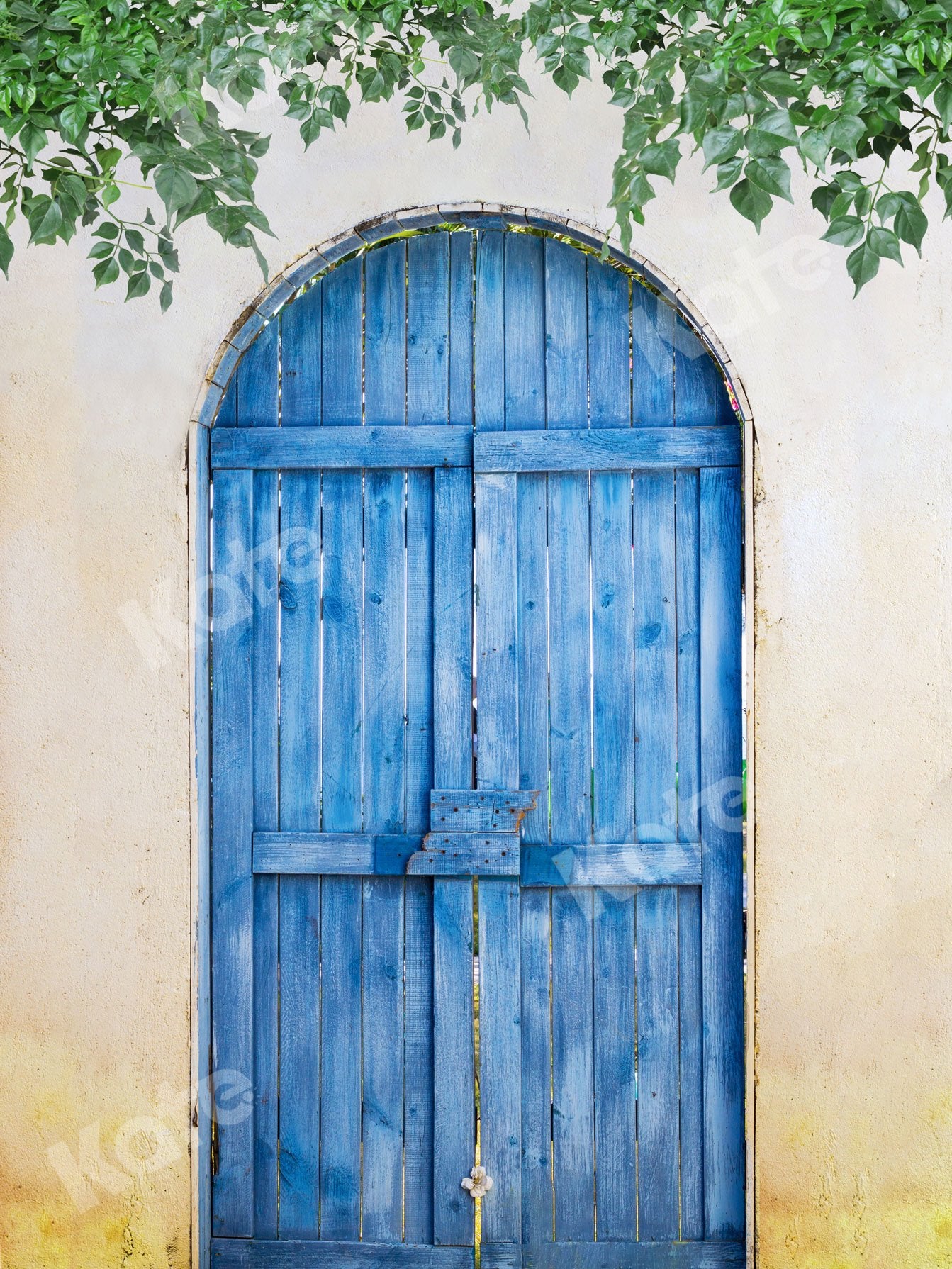 Kate Summer Blue Wooden Door With Green Leaves Backdrop Designed by Jia Chan Photography - Kate Backdrop AU