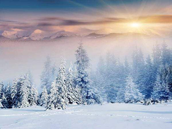 Kate Christmas Winter Scene Sunrise Photo Backdrop AU