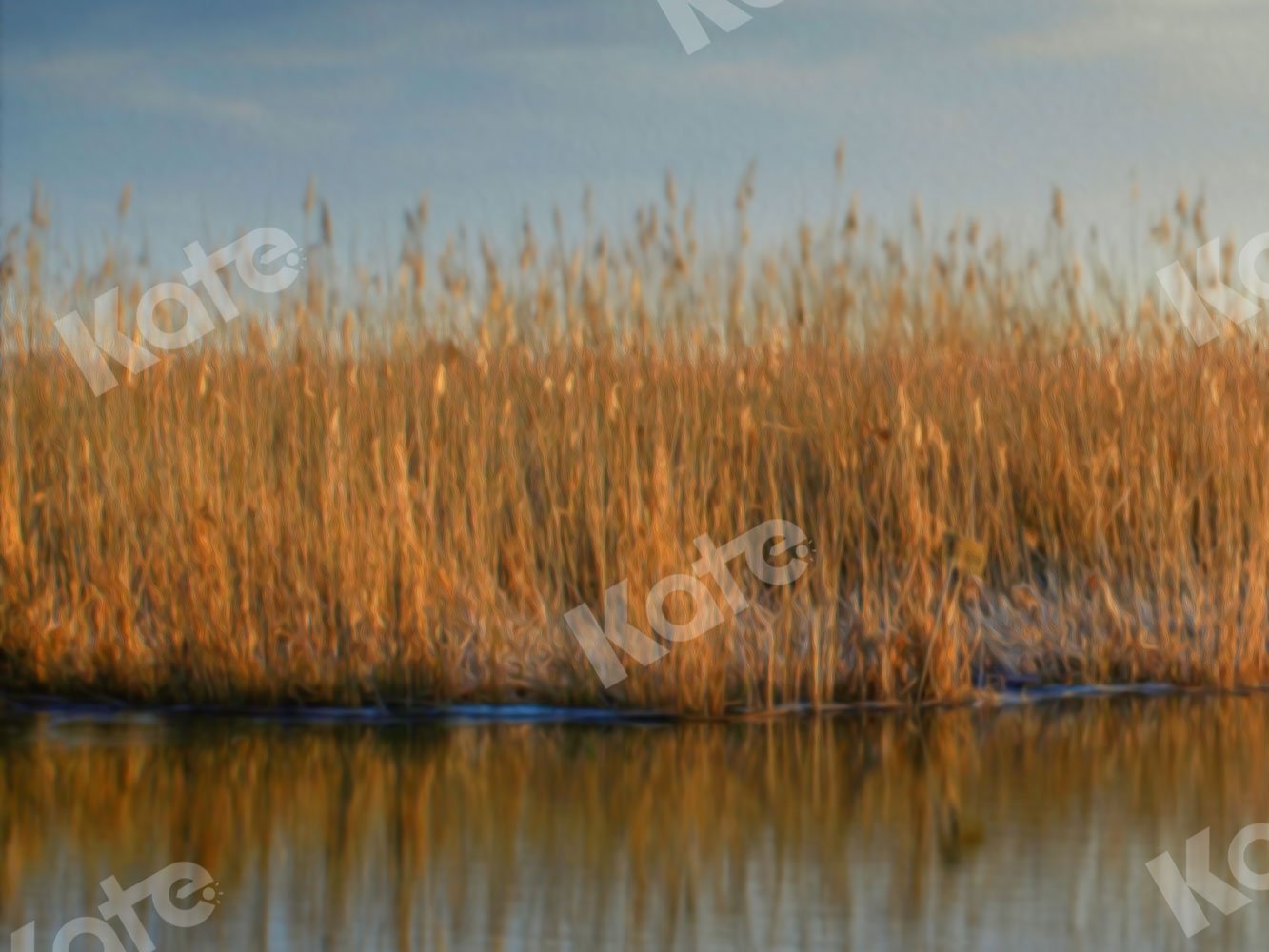 Kate Fall Backdrop Waterside Reeds for Photography - Kate Backdrop AU