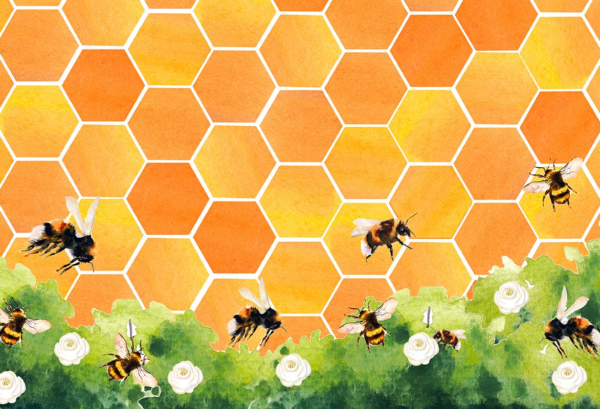 Kate Honeycomb Bee Backdrop Designed by GQ - Kate Backdrop AU