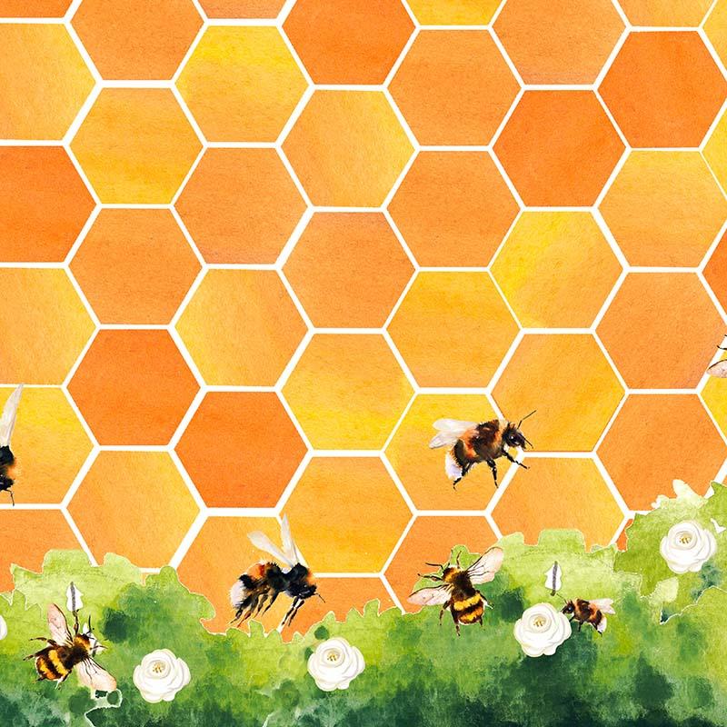 Kate Honeycomb Bee Backdrop Designed by GQ - Kate Backdrop AU