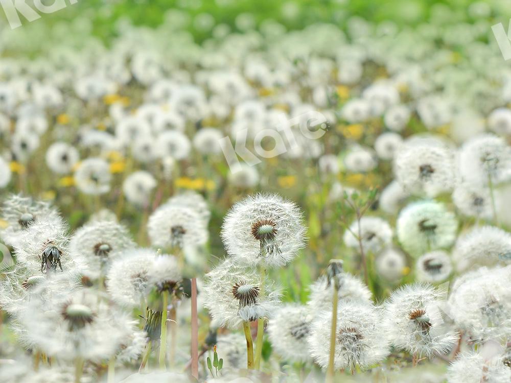 Kate Dandelions Backdrop Designed by Emetselch - Kate Backdrop AU