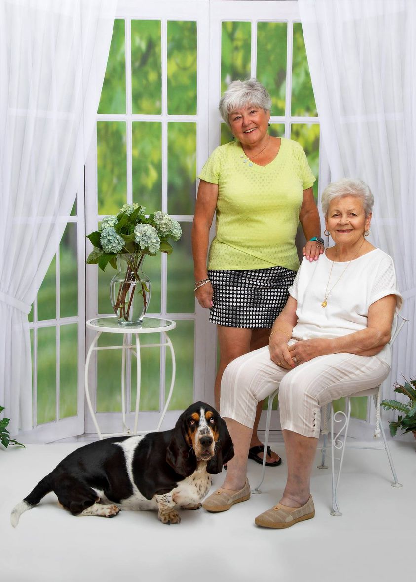 Kate Window View White Curtain Spring Backdrop Designed by JS Photography - Kate Backdrop AU