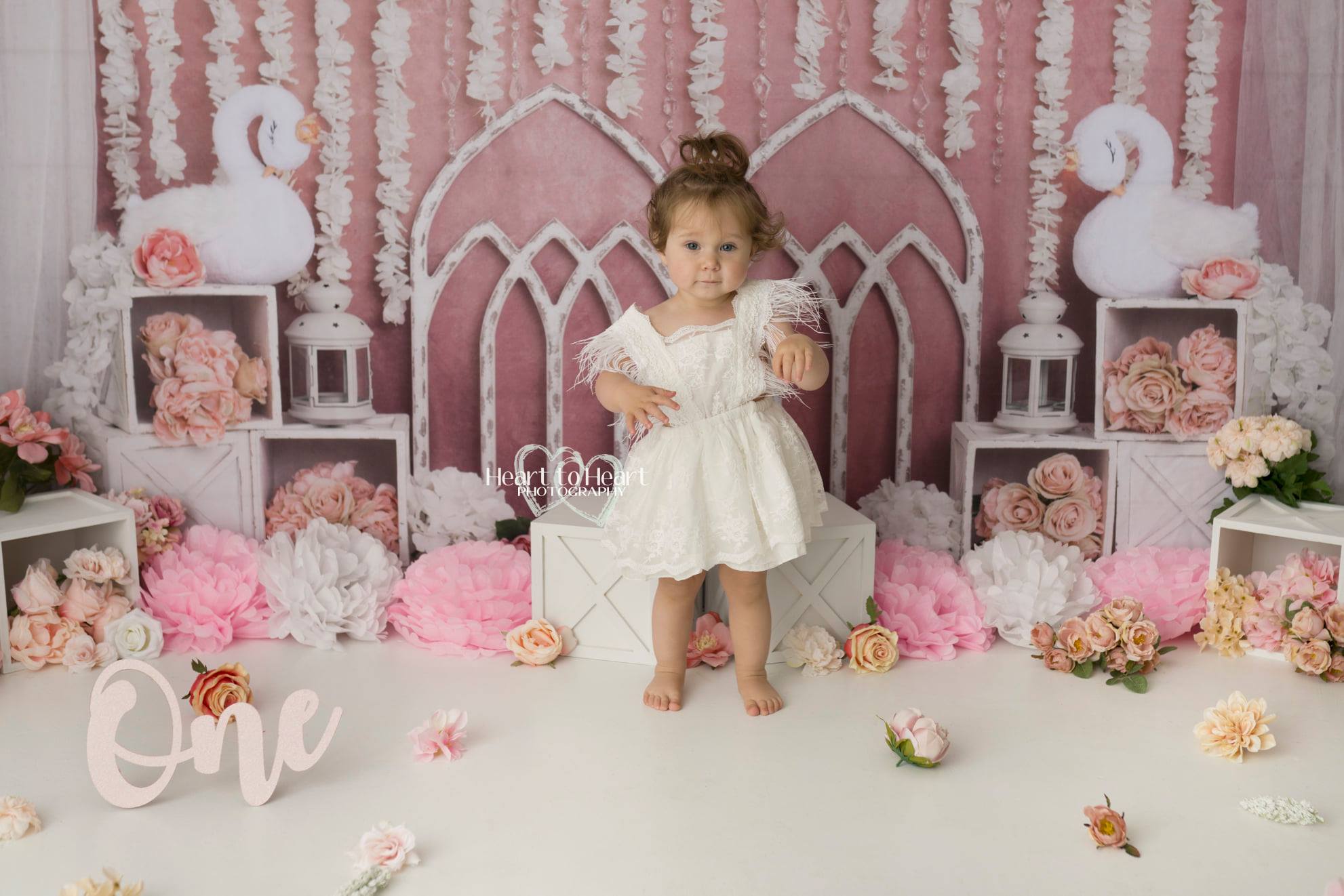 Kate Pink Swan Cake Smash Girly Backdrop for Photography Designed by Lisa B - Kate Backdrop AU