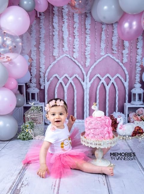 Kate Pink Swan Cake Smash Girly Backdrop for Photography Designed by Lisa B - Kate Backdrop AU