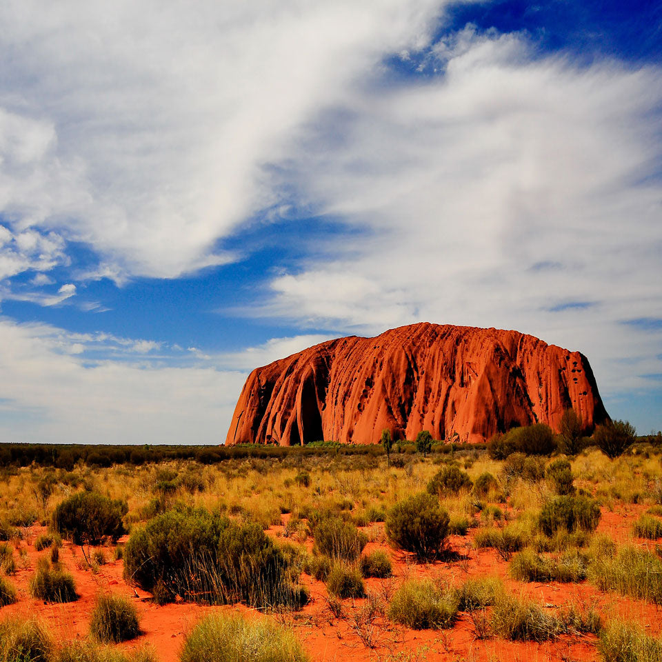 Kate Australian Mountain Land Park Backdrop for Photography - Kate Backdrop AU