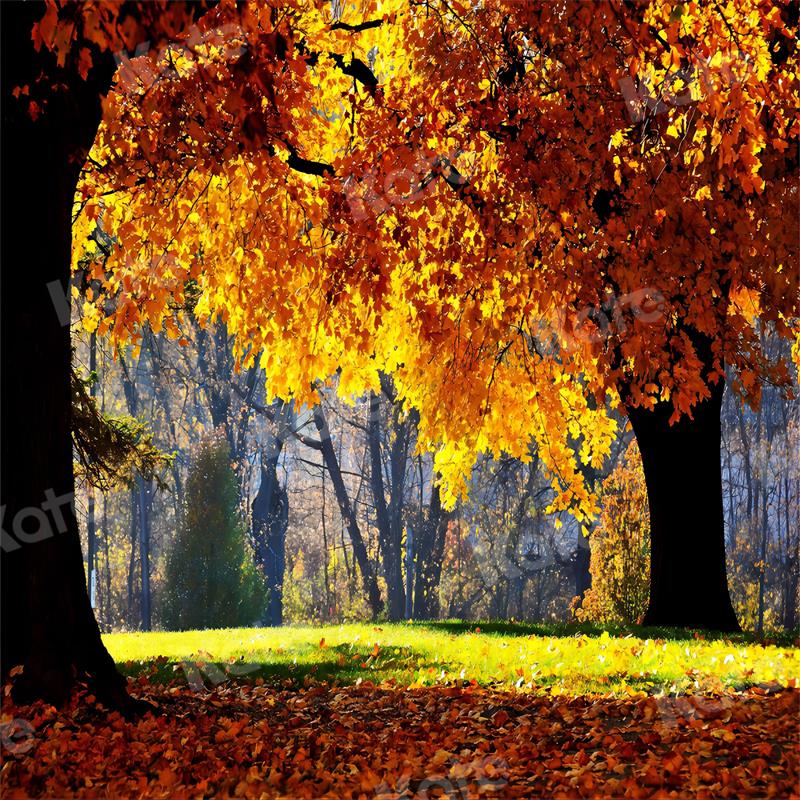 Kate Autumn Backdrop Nature Scenery for Photography – katebackdrop AU