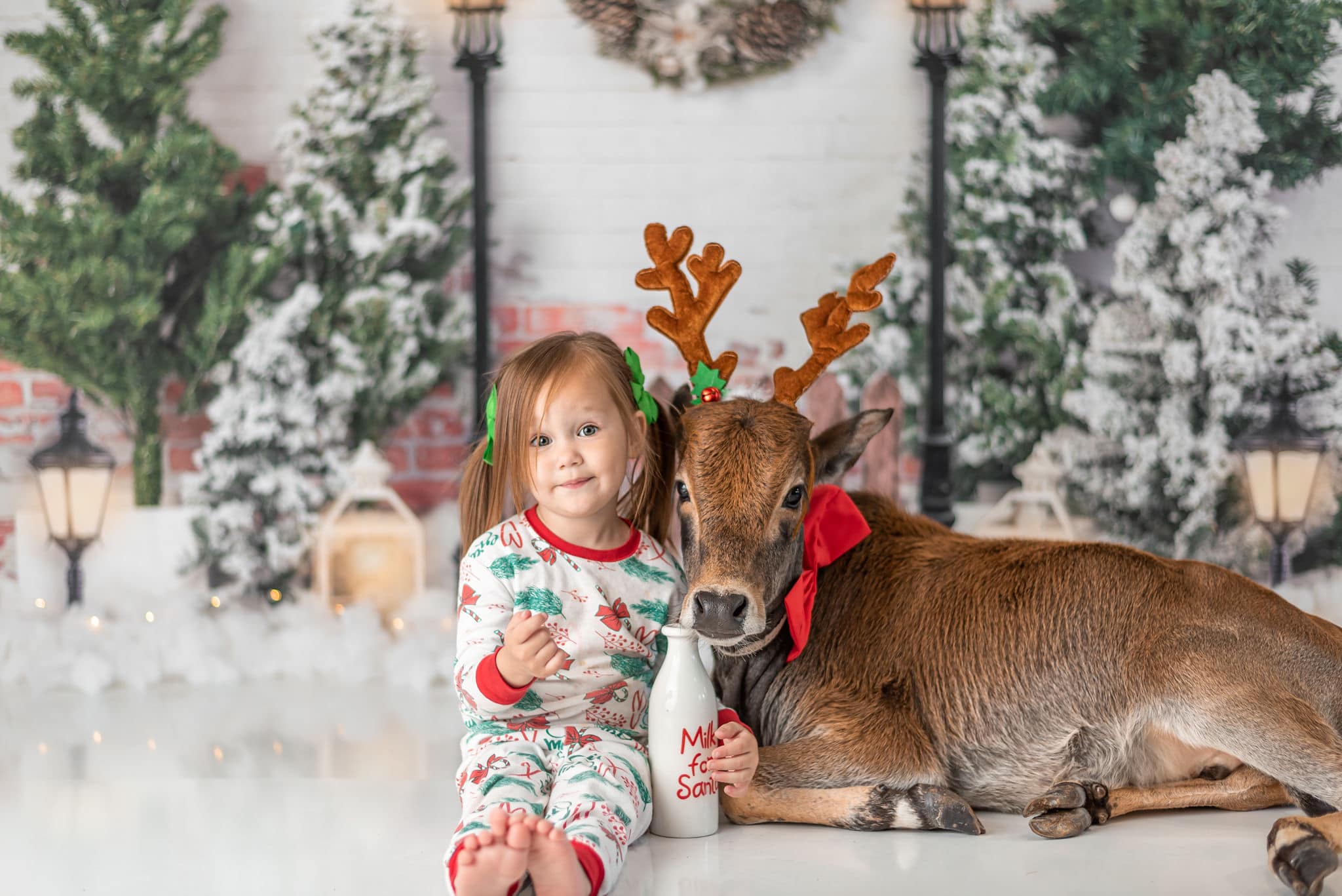 Kate Xmas Backdrop Christmas Garden with Lights Designed by Emetselch - Kate Backdrop AU