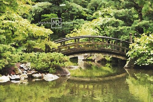 Kate Bridge Over Pond Backdrop Designed by Mandy Ringe Photography - Kate Backdrop AU