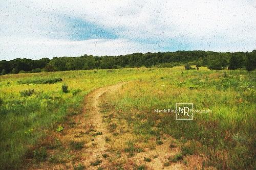 Kate Prairie Path Backdrop Designed by Mandy Ringe Photography - Kate Backdrop AU