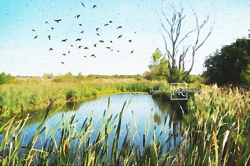 Kate Summer Pond Backdrop Designed by Mandy Ringe Photography - Kate Backdrop AU