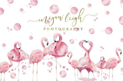 Kate Flamingo on White Backdrop Designed by Megan Leigh Photography - Kate Backdrop AU