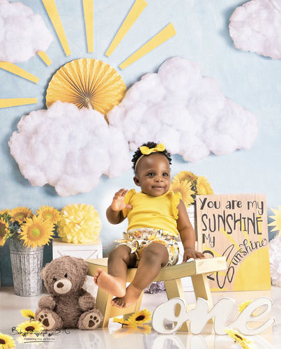 Kate Sunflower Sunshine Children Backdrop Designed By Mandy Ringe Photography - Kate Backdrop AU